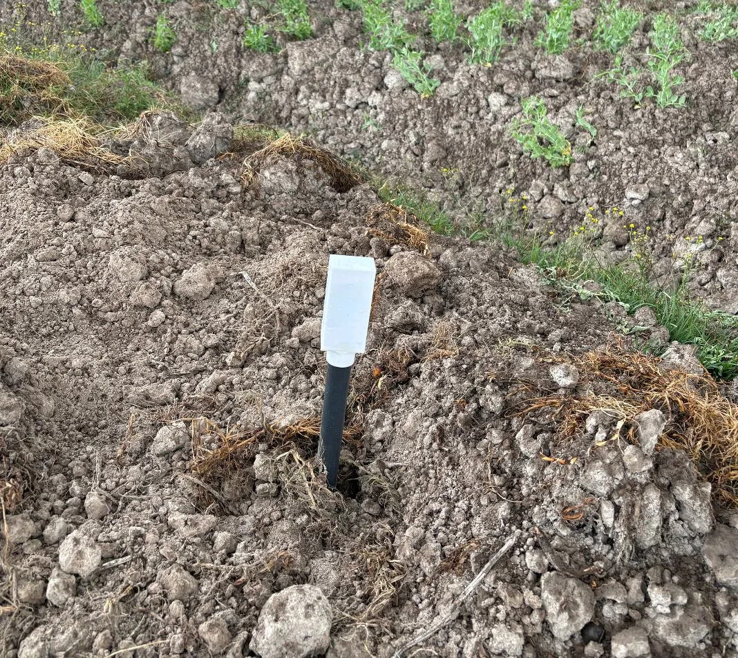 NuaSense soil sensor probe installed in a Kenyan farm field