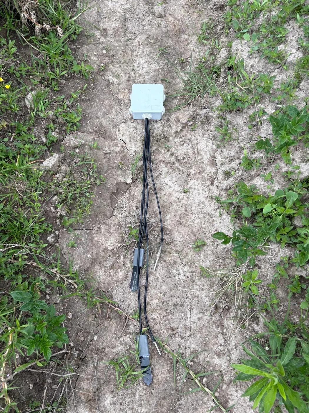 A soil sensor and its cables laid on dry cracked ground