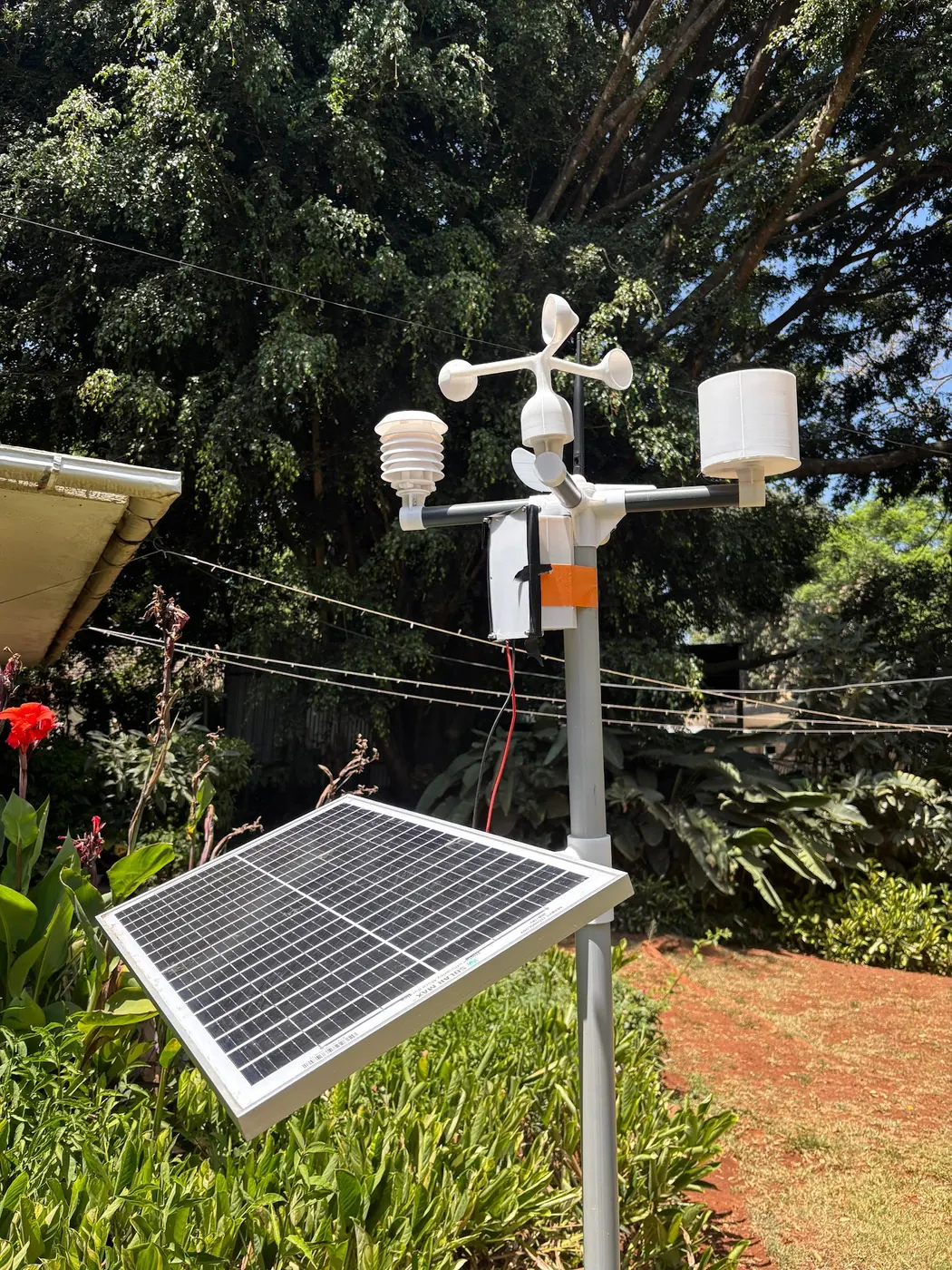 Weather station on a pole with wind cups, rain gauge and shielded sensor, solar panel below, green trees behind.