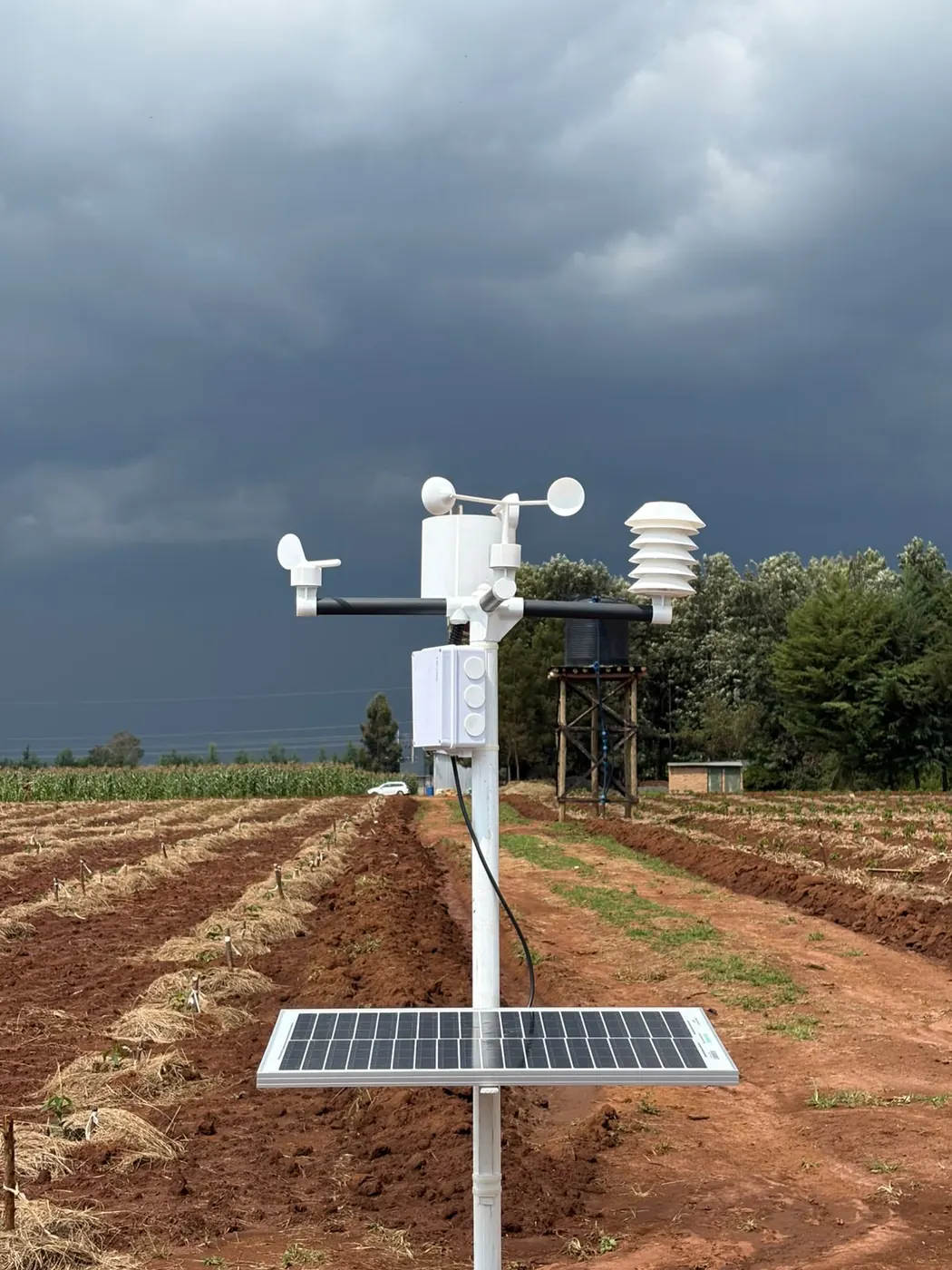 Solar-powered weather station with wind cups and vane on a white mast above mulched red soil ridges under dark storm clouds