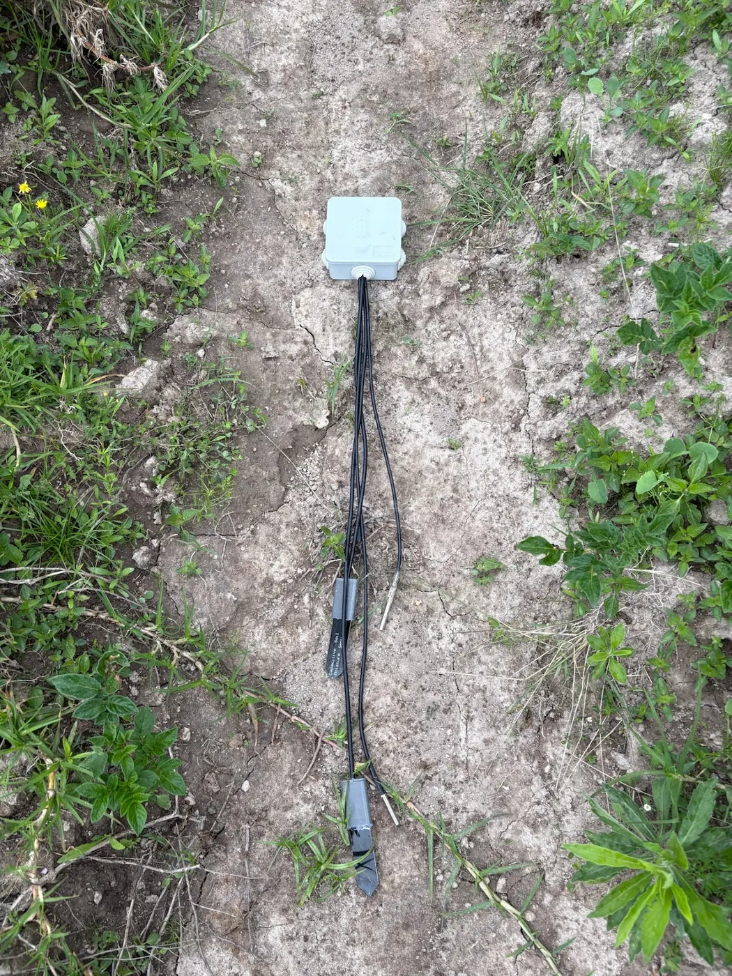 A soil sensor box with probes on dry pale soil